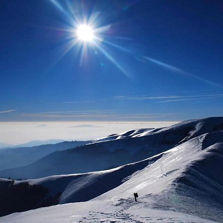 Sadyba Domashniy Zatyshok Pilipets Extérieur photo