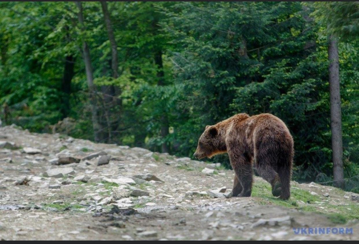 Sadyba Domashniy Zatyshok Pilipets Extérieur photo