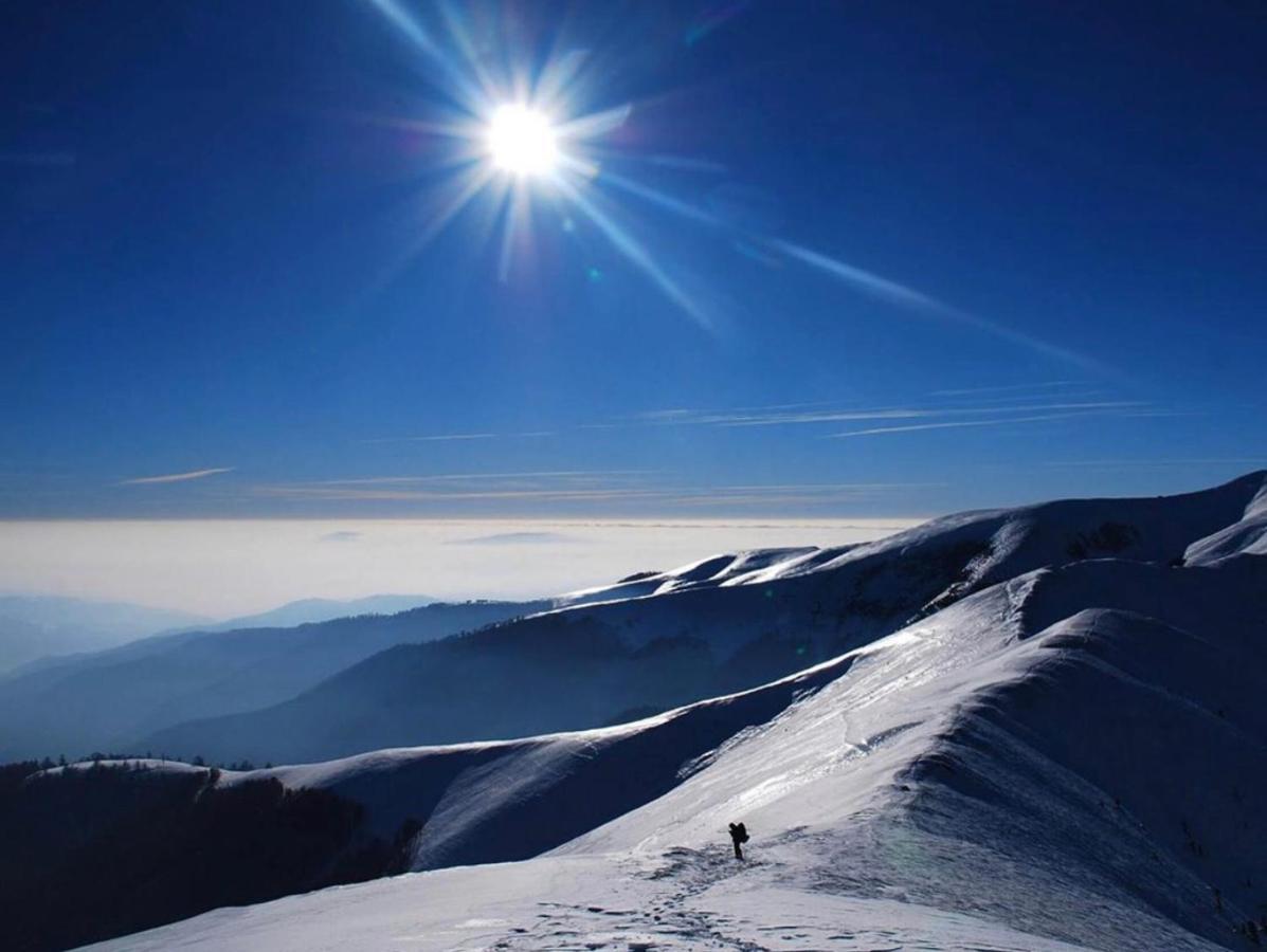 Sadyba Domashniy Zatyshok Pilipets Extérieur photo